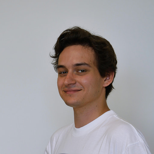 Site Search 360 full-stack backend developer